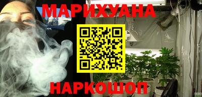 меф Гатчина