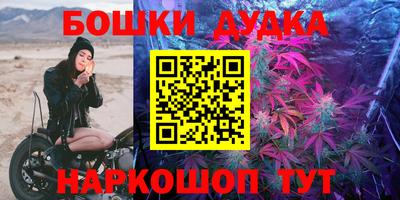 меф Гатчина
