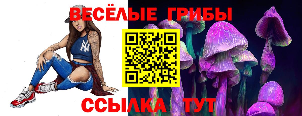 Галлюциногенные грибы GOLDEN TEACHER  Вход с VPN  Орёл 